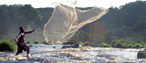 Gabon The Nature Conservancy Africa