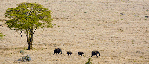 Africa The Nature Conservancy