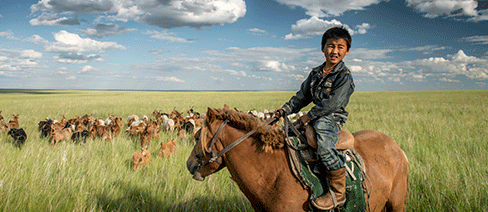 The Nature Conservancy Mongolia Conservation 