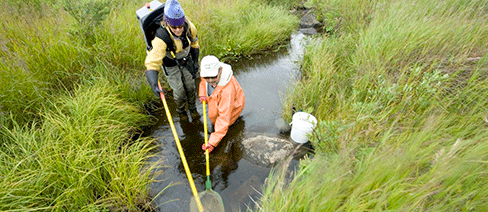 Southwest Alaska nature conservancy