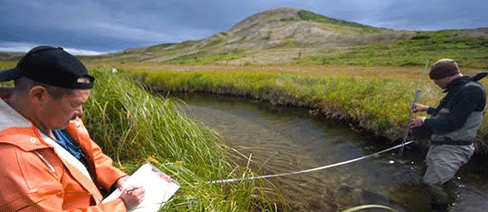 Southwest Alaska nature conservancy