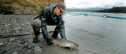 Southcentral Alaska salmon ecological systems mapping nature conservancy