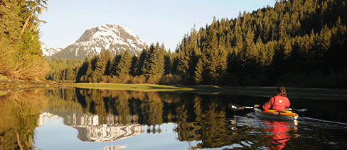 alaska coastal forests mountains southeast nature conservancy conservation science