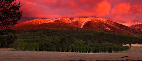 arizona center science public policy nature conservancy