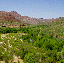 arizona verde river environmental flows nature conservancy