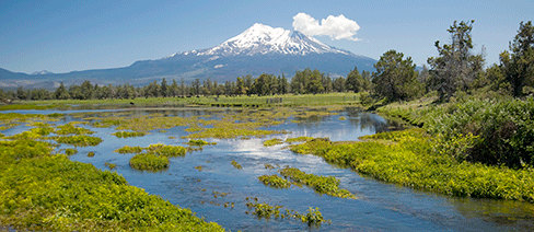 california conservation science nature conservancy