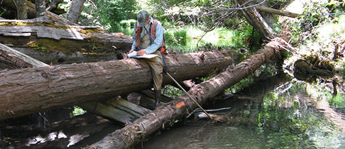 california salmon freshwater conservation nature conservancy