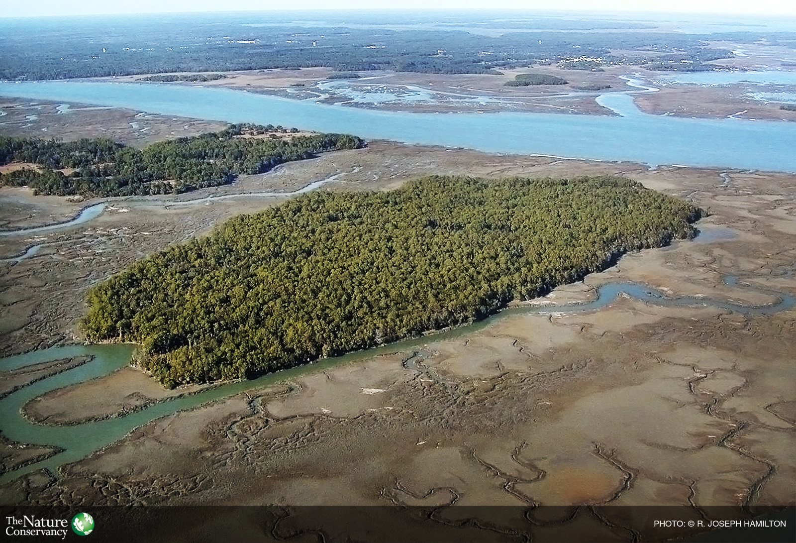 Barataria Island, SC by R. Joseph Hamilton