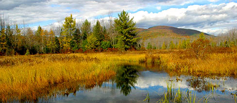 eastern division conservation science