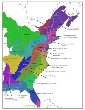 ecoregions of the eastern United States