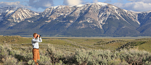 montana nature conservancy conservation science