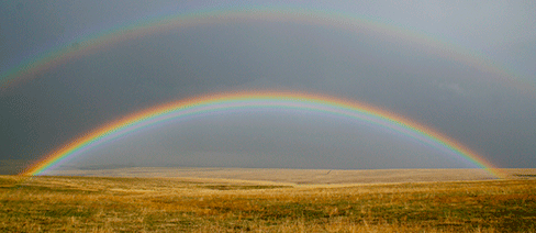 zumwalt prairie orgeon nature conservancy grasslands