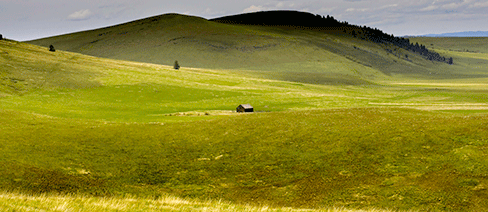 zumwalt prairie orgeon nature conservancy grasslands