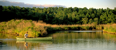 virginia canoeing at parkers creek nature conservancy