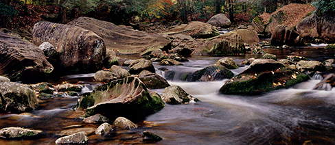 west virginia conservation science nature conservancy freshwater