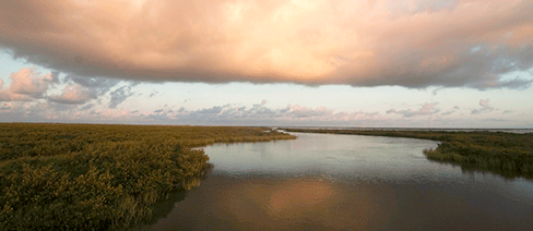 whole systems conservation nature conservancy gulf of mexico