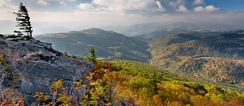 central appalachians whole systems conservantion nature conservancy