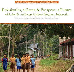 berau case study forest carbon redd nature conservancy