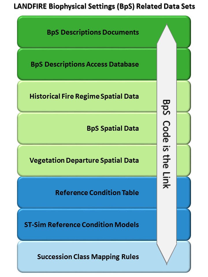 BpS graphic