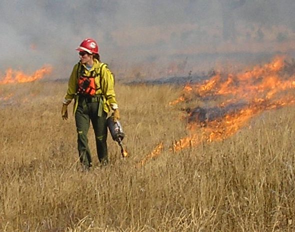 Kori Blankenship holding drip torch on prescribed fire line