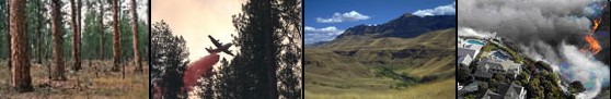 4 pic Banner.jpg