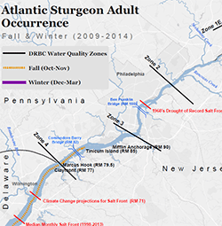 Delaware River Atlantic Sturgeon Nature Conservancy Dissolved Oxygen