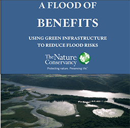 A Flood of Benefits - Using Green Infrastructure to Reduce Flood Risks