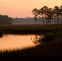 Tools for Ecosystem Service Values of Seagrass and Salt Marshes Report The Nature Conservancy