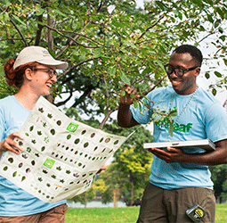 Healthy Trees Healthy Cities Nature Conservancy