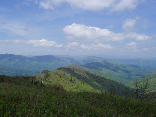 Southern Blue Ridge Forest Matrix Block Analysis