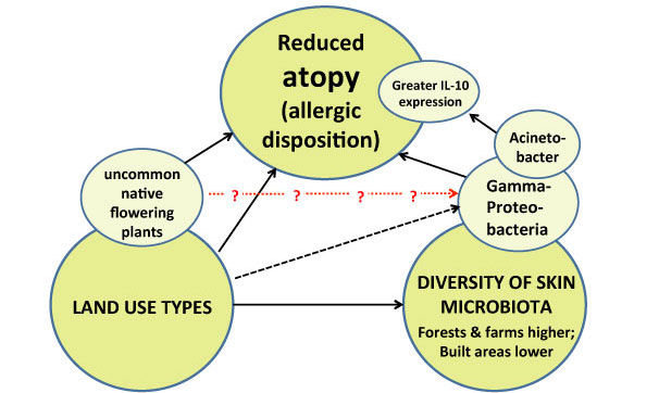 sc jan 13 jordan biodiversity diagram 1.jpg