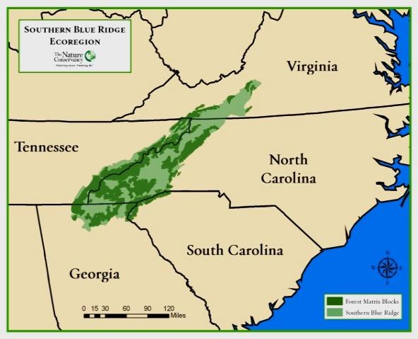 southern blue ridge matrix forests nature conservancy