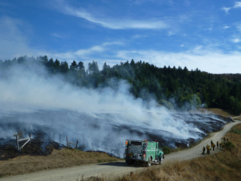 Bald Hills Burn, NPS