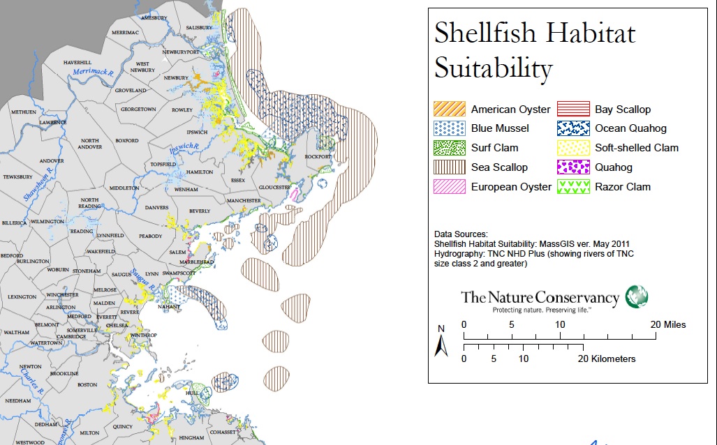 Massachusetts Shellfish Restoration Shellfish Suitability