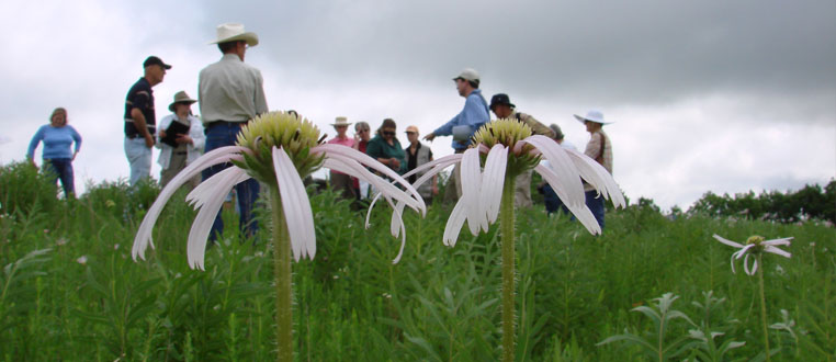 nature conservancy partnerships center partnering