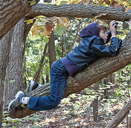 science chronicles november 2013 nature conservancy