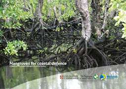 Mangroves for coastal defence. Guidelines for coastal managers & policy makers.