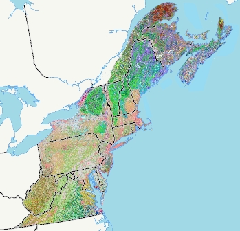 northeastern united states map Terrestrial Habitat Map For The Northeast Us And Atlantic Canada